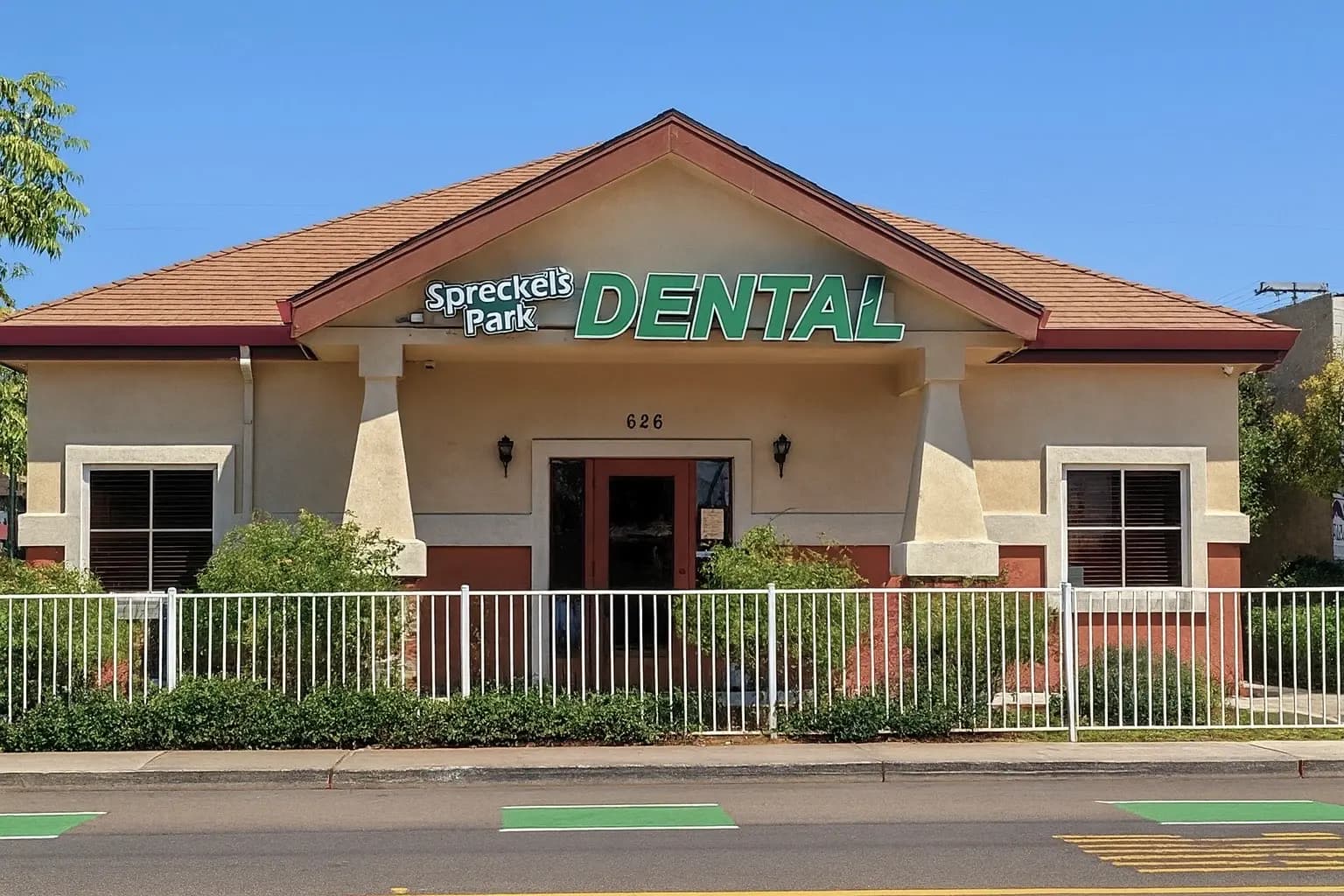 Professional dental care and smiling patient